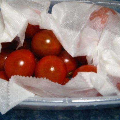 冷蔵庫には大小たくさんのパックにトマトが入ってます。長持ちしてね！